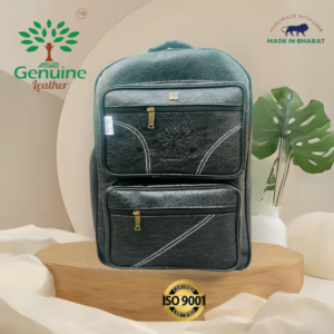 AseGenuineLeather Backpack Black colour Bag