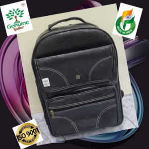 AseGenuineLeather New Backpack Black colour Bag
